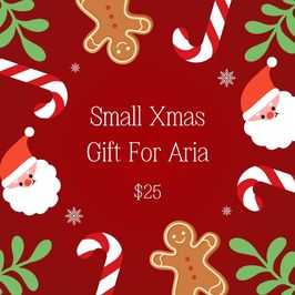 Small Xmas Gift For Aria