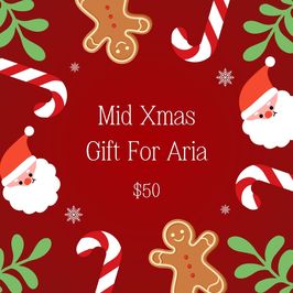 Mid Xmas Gift For Aria!