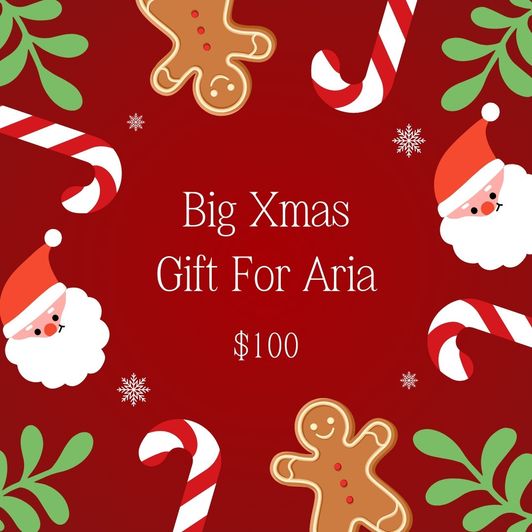 Big Xmas Gift For Aria!