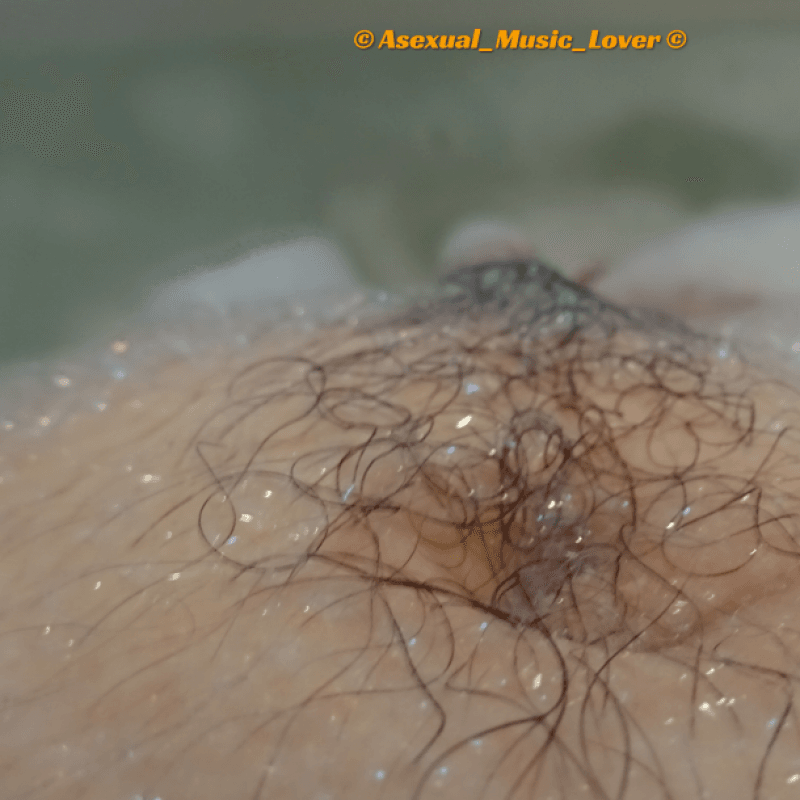 5 pictures of my navel hairs closeup