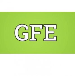 The Girlfriend Experience GFE