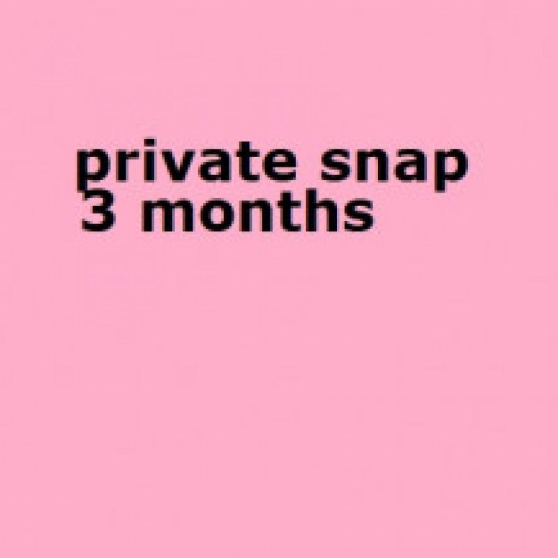 premium snapchat 3 months