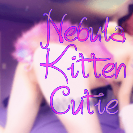 Nebula Kitten Cutie