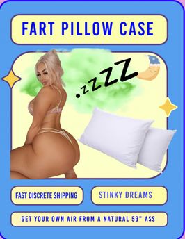 Fart Pillow case