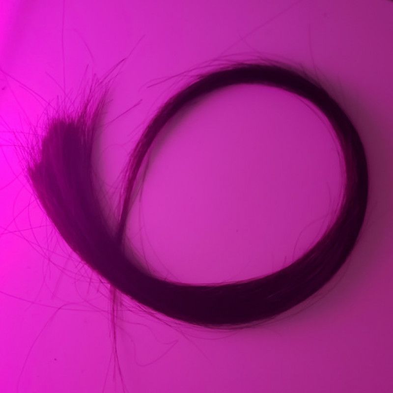 A Lock of Ayanas Beautiful Hair