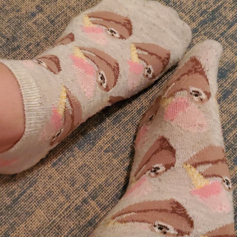 Sloth Socks Worn