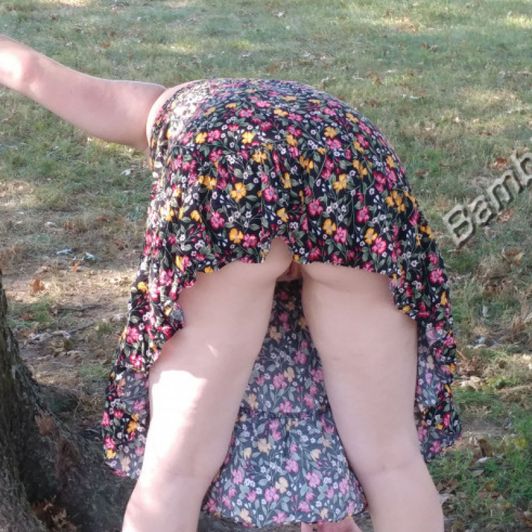 Another Day in the Park with No Panties