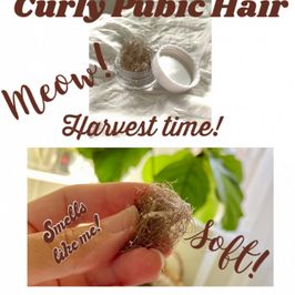 Curly Uncut Soft Kitty Hair