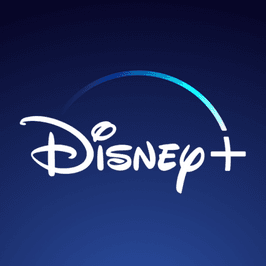 Disney Plus Subscription!