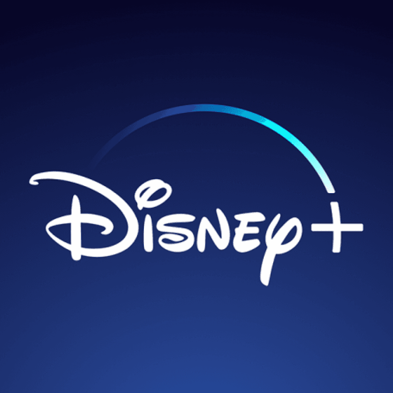 Disney Plus Subscription!