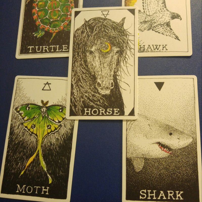 Three card Reading