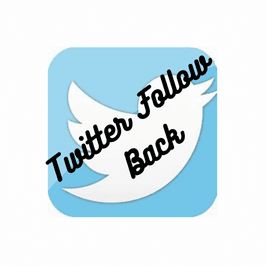 Twitter follow back