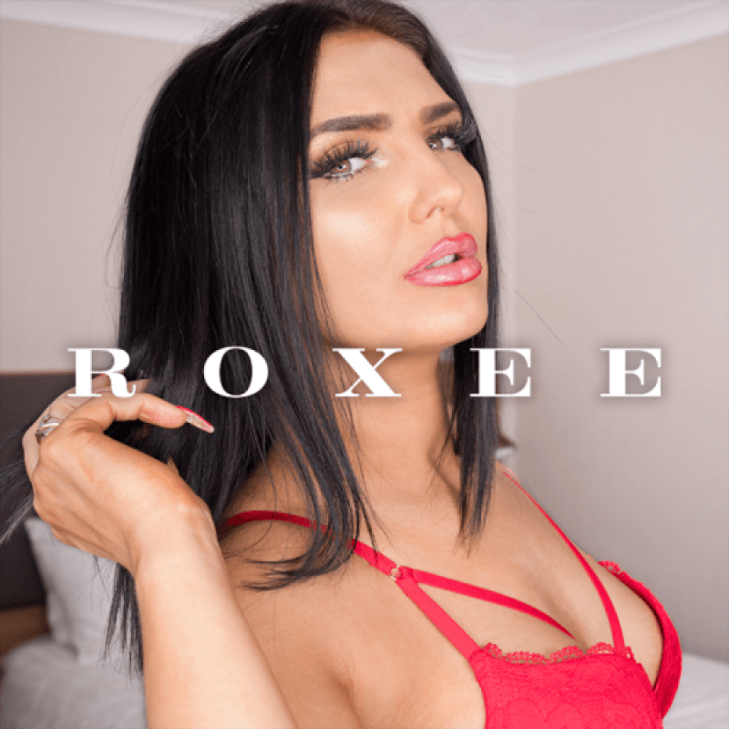 Roxee Vid Bundle