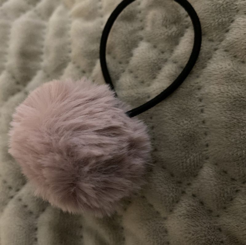 Ponytail holder