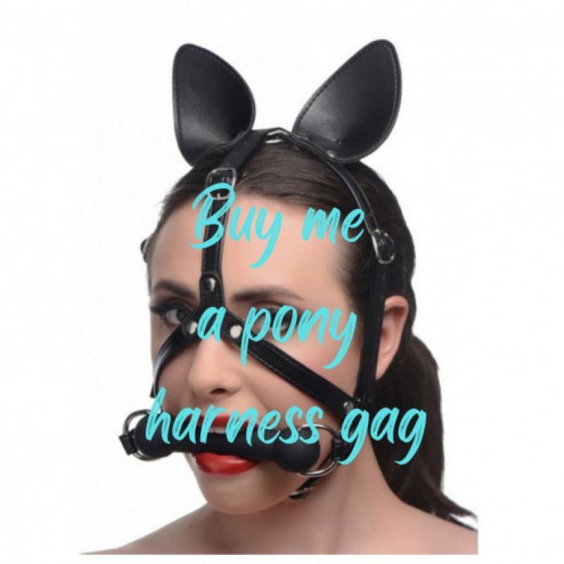 Buy me a pony harness gag