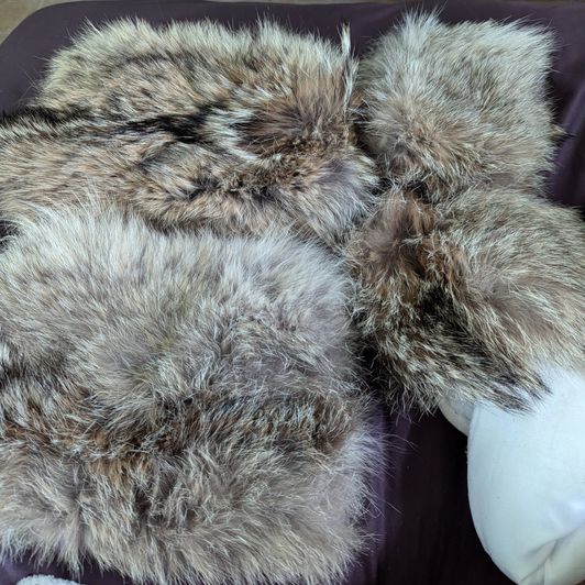 Coyote and fox fur