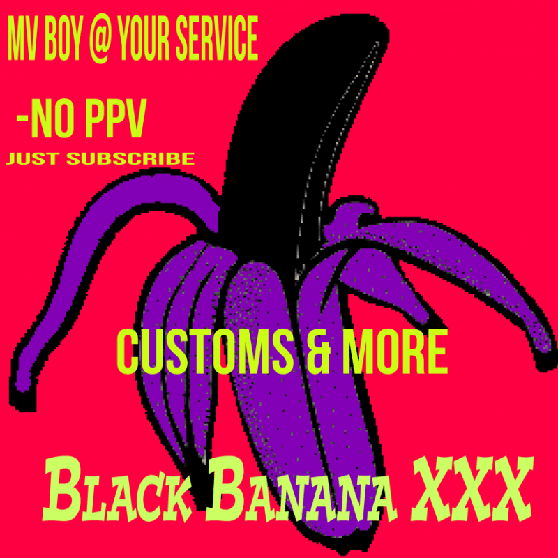 VIP free customs access