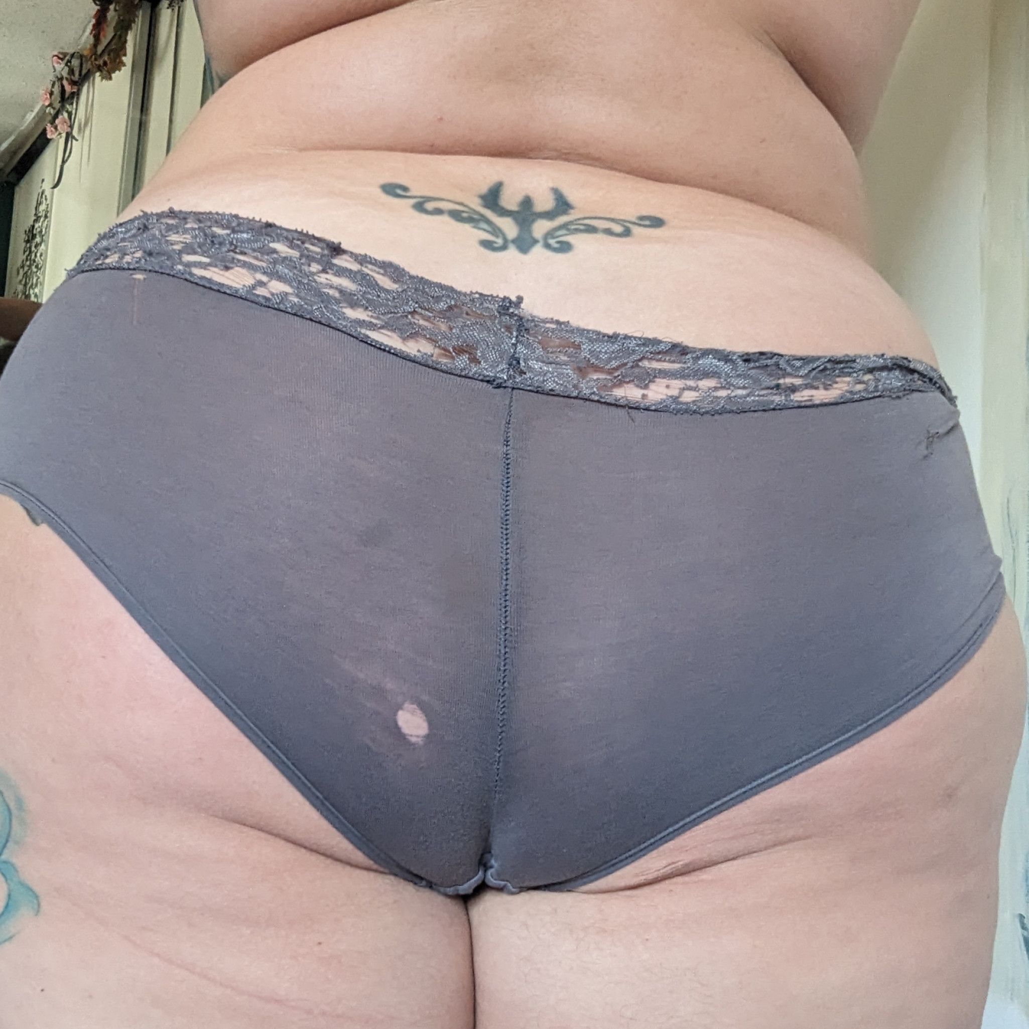 Old Grey Panties