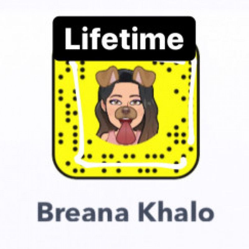 Snapchat Lifetime Sub