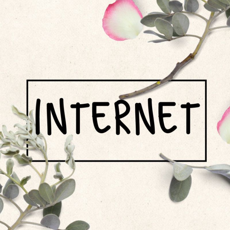 Monthly Internet