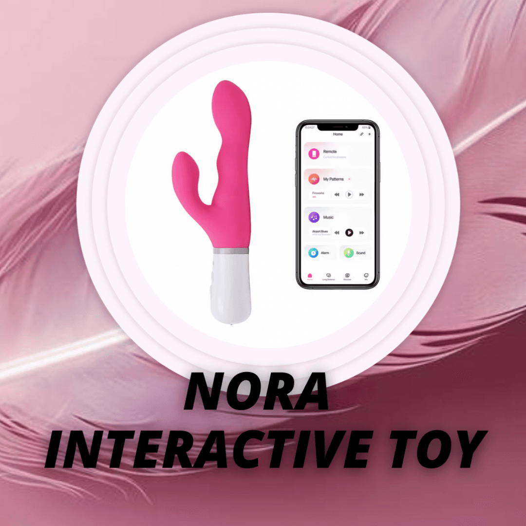 Toy interactive divertion