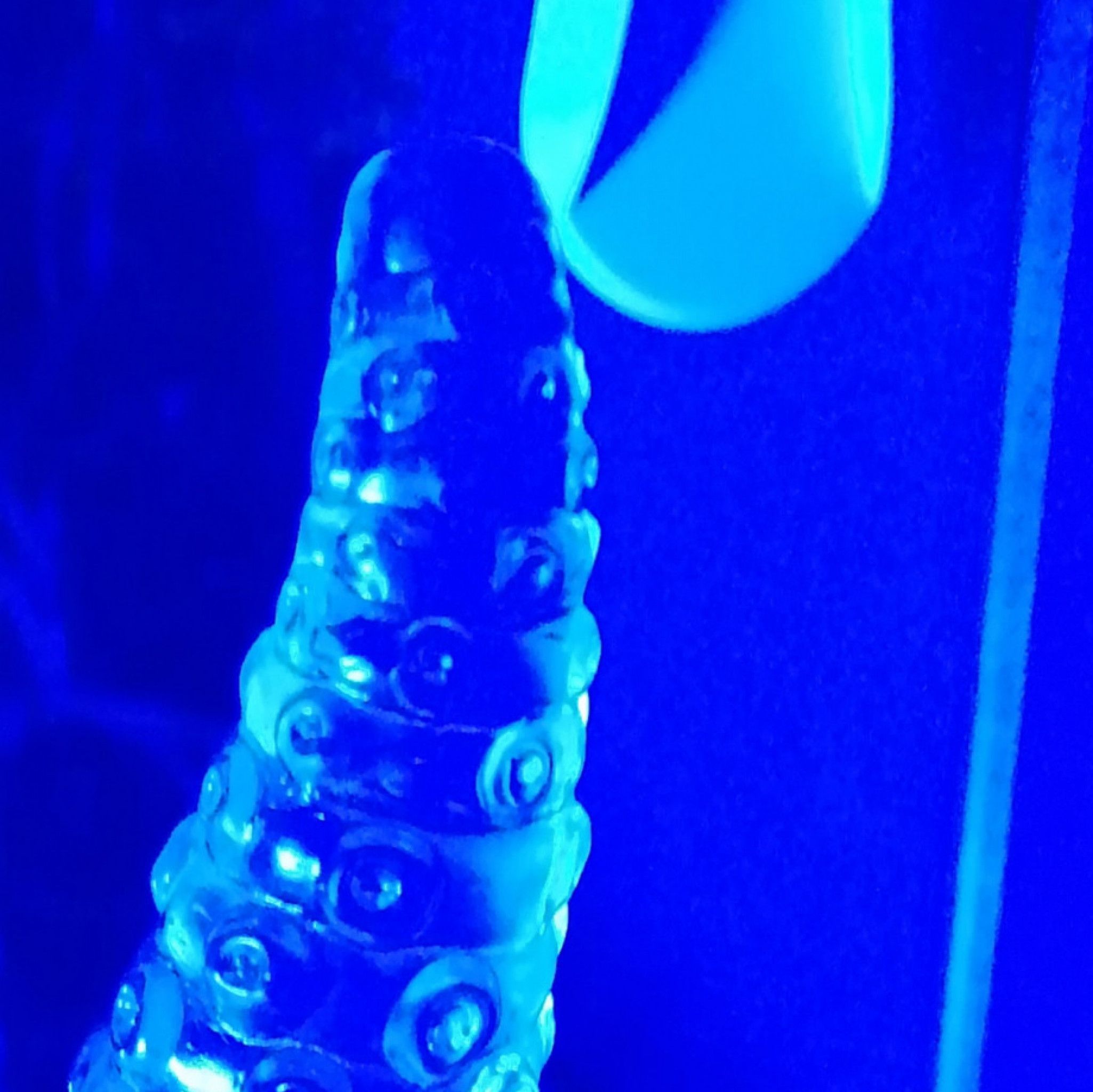 Used Tentacle Dildo