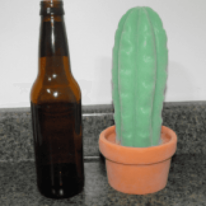 Buy Me A Fuckable Cactus!!!