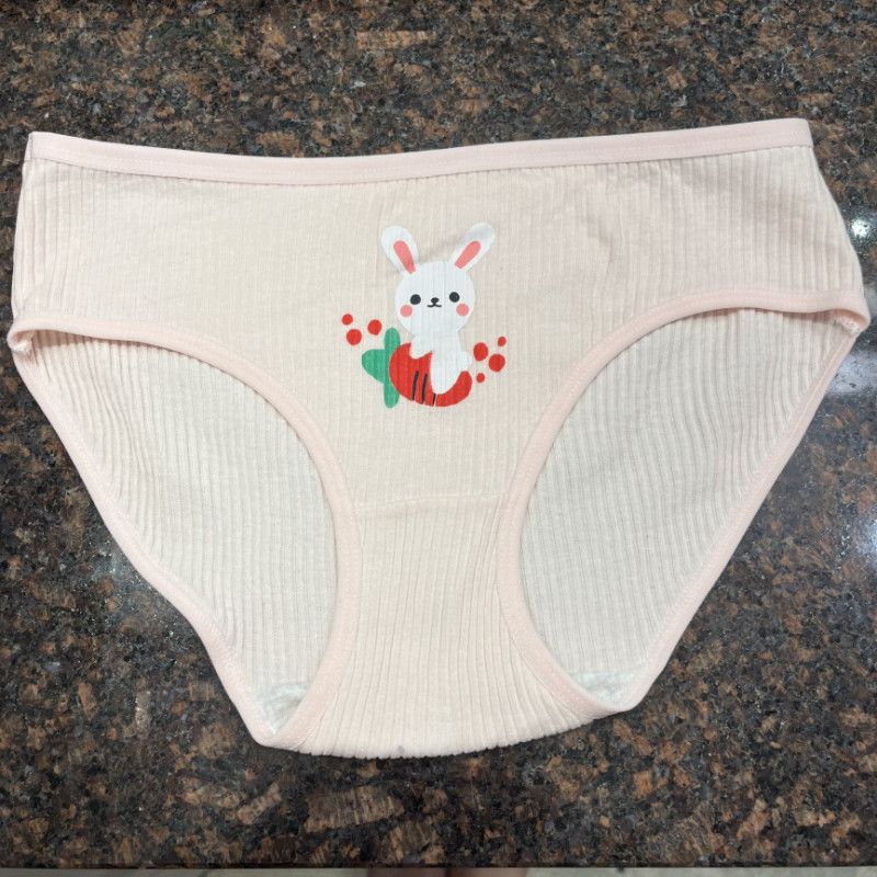 Kawaii pink bunny panty