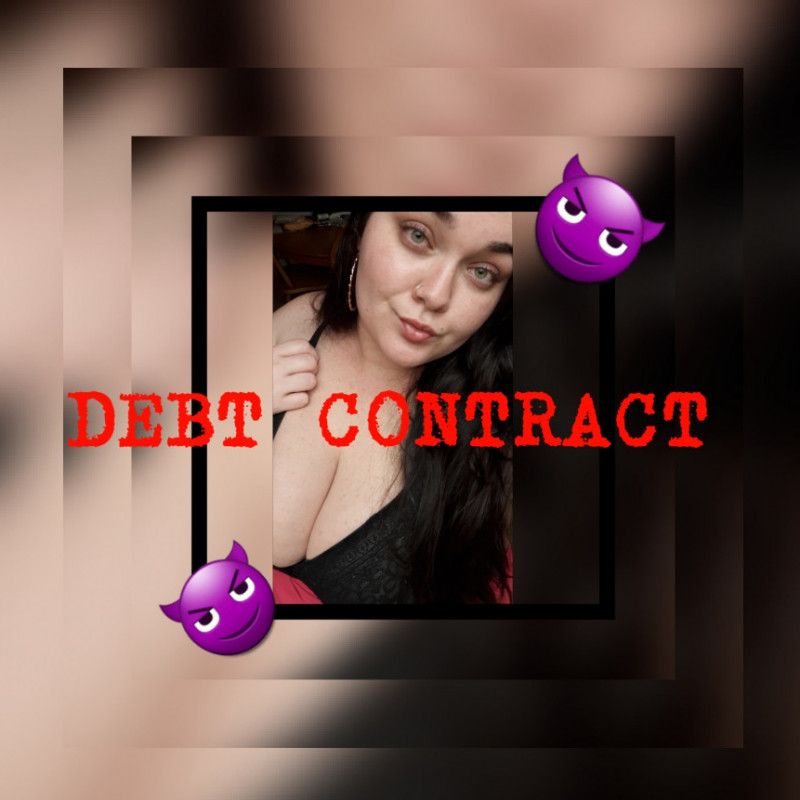 Basic Debt Contract