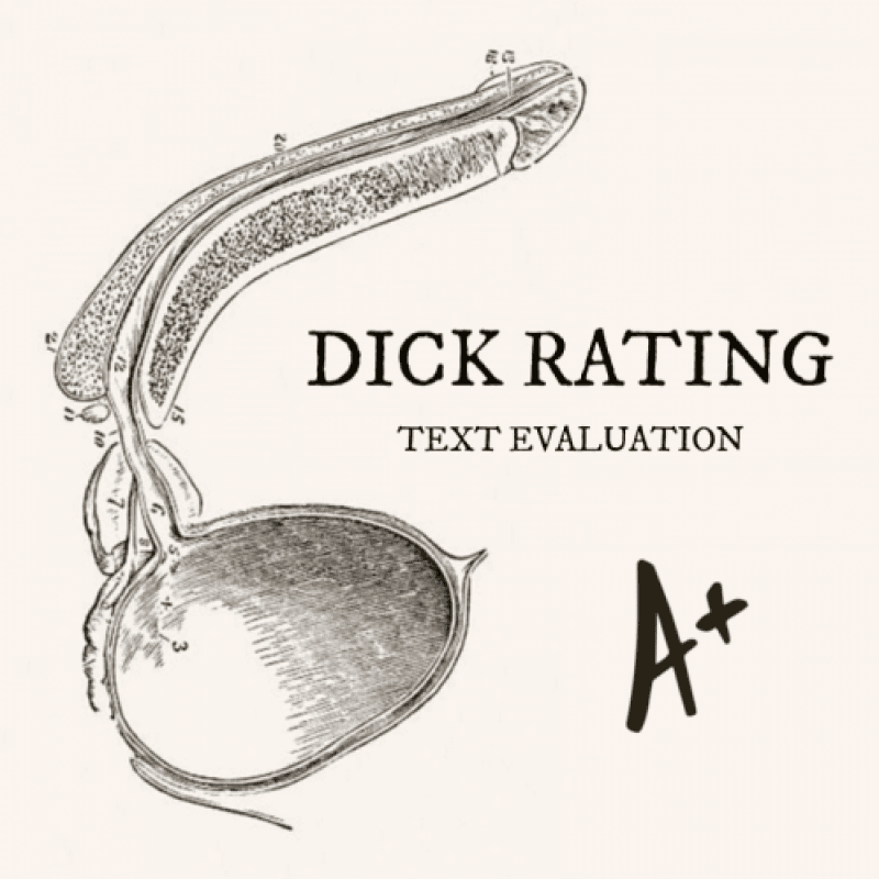 Dick Rating: Text