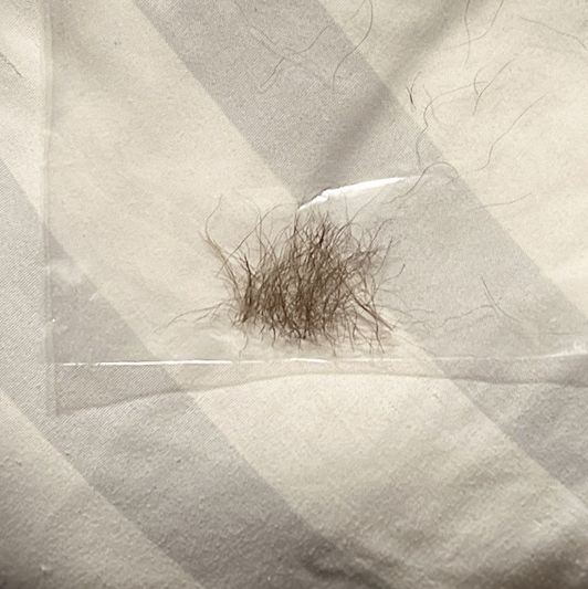 Small Bag of Pubes