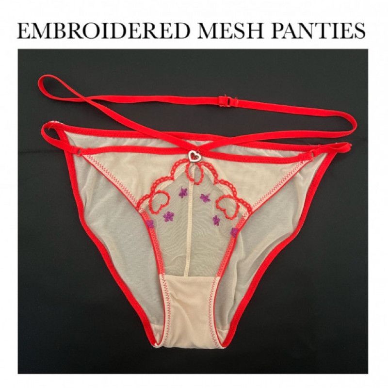 EMBROIDERED MESH PANTIES