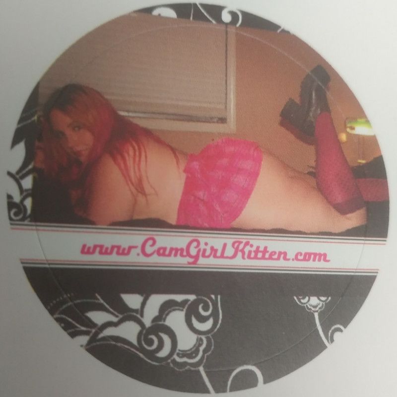 3 CamGirlKitten Schoolgirl Stickers