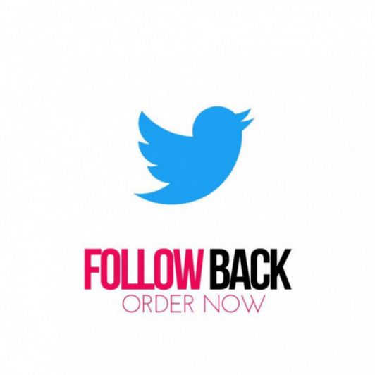 Twitter follow back