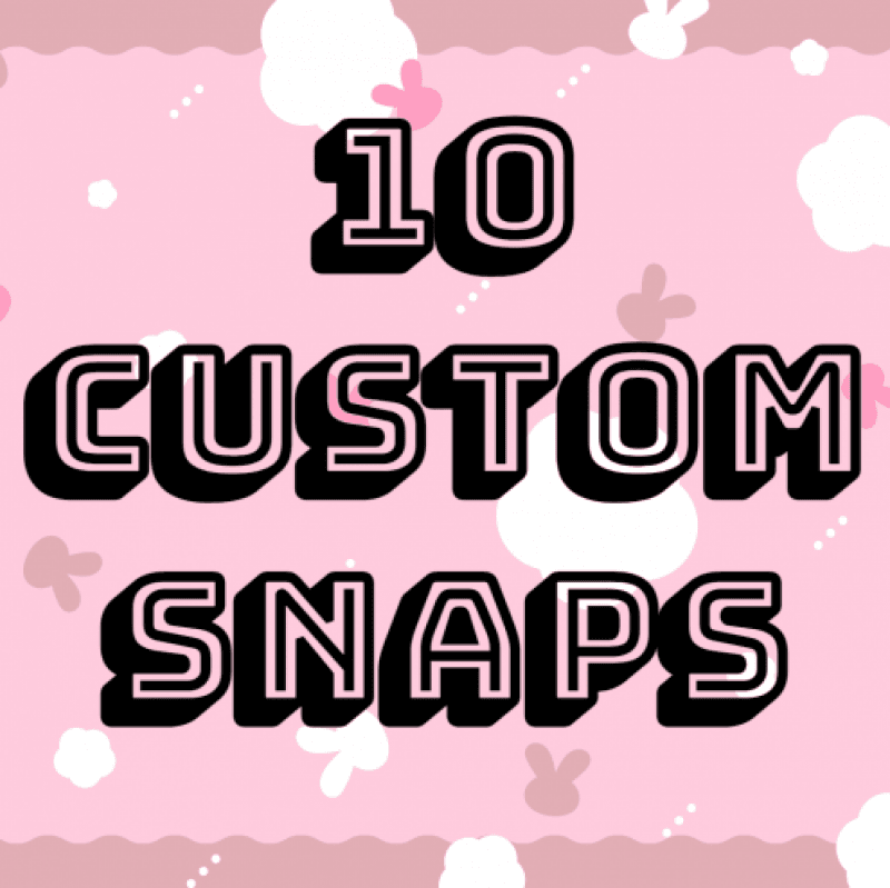 10 Custom Snaps