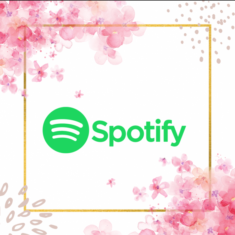 Spotify monthly subscription