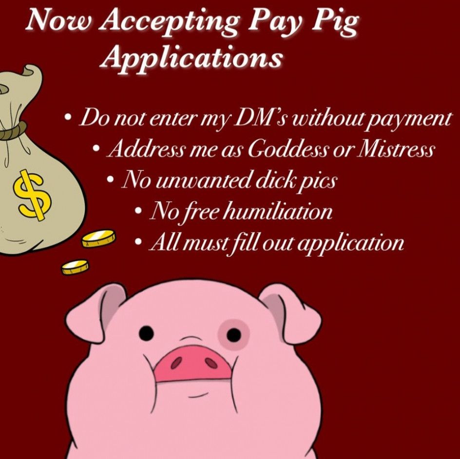 Pay Pig Application