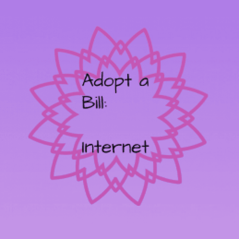 Adopt a Bill: Internet