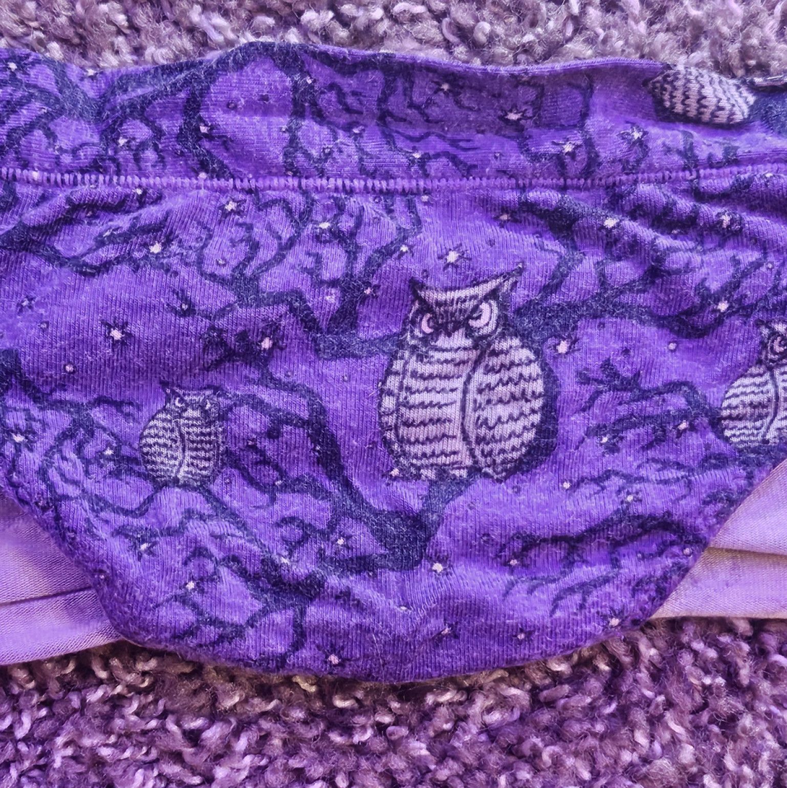 Worn Spooky Halloween Owl MeUndies