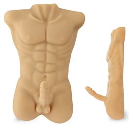 Male Torso