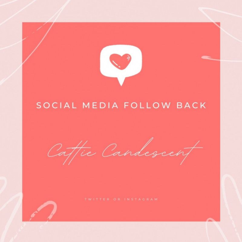 Social Media Follow Back