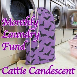 Laundry Day Fund