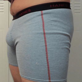 Hanes Grey Boxer Briefs