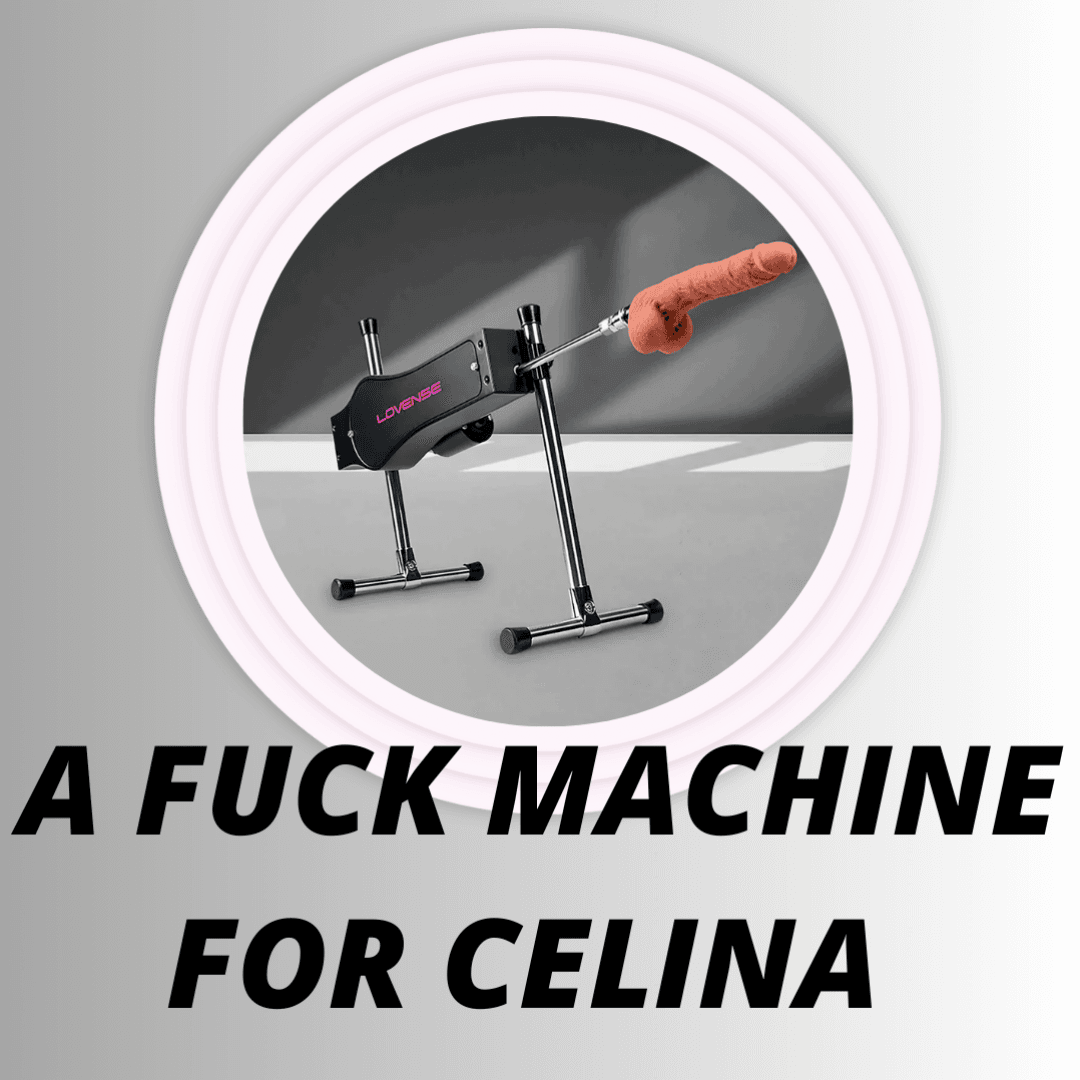 fuck machine mini