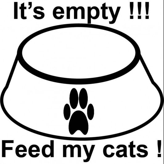 Feed my cats