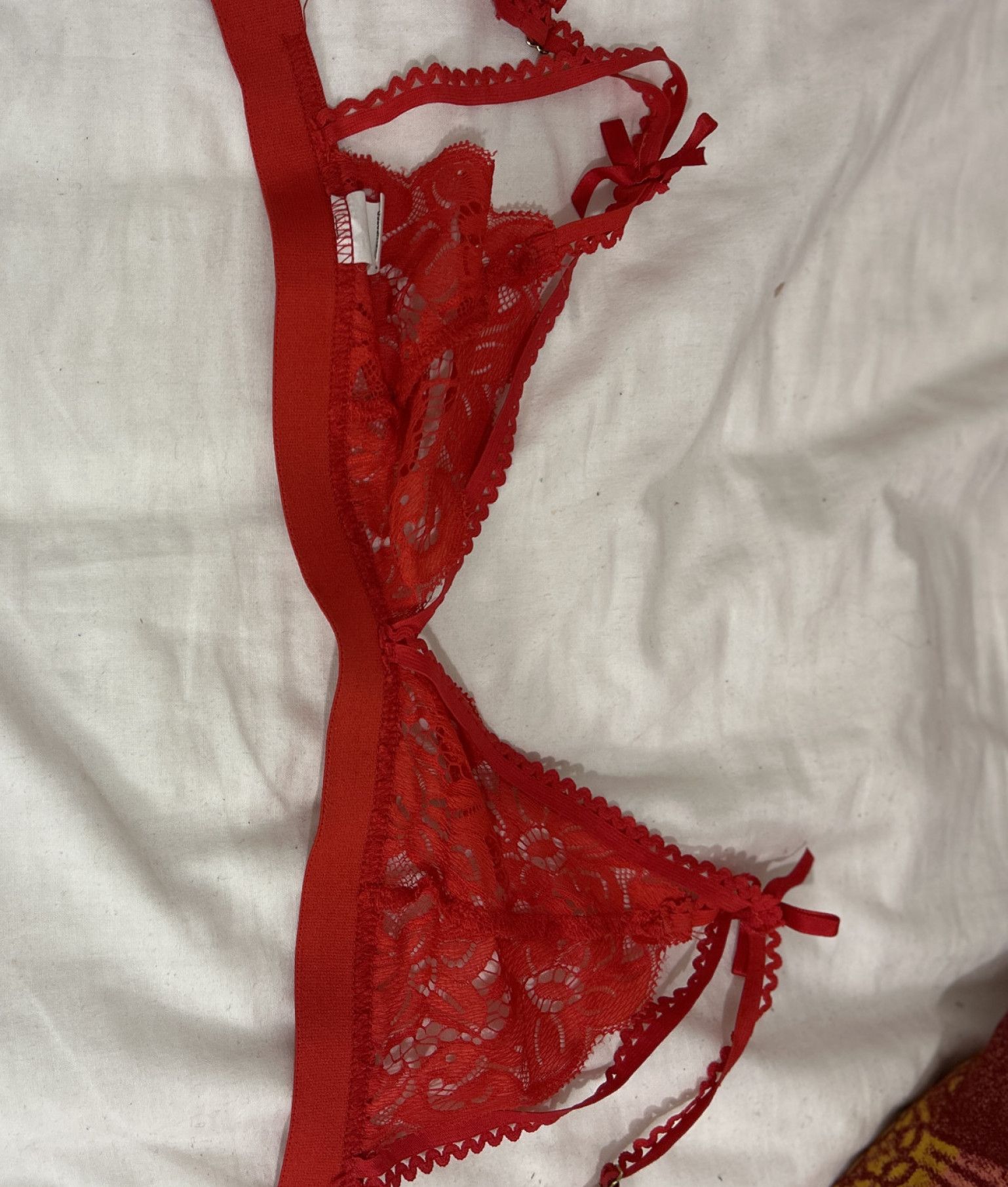 Red Lace Bra