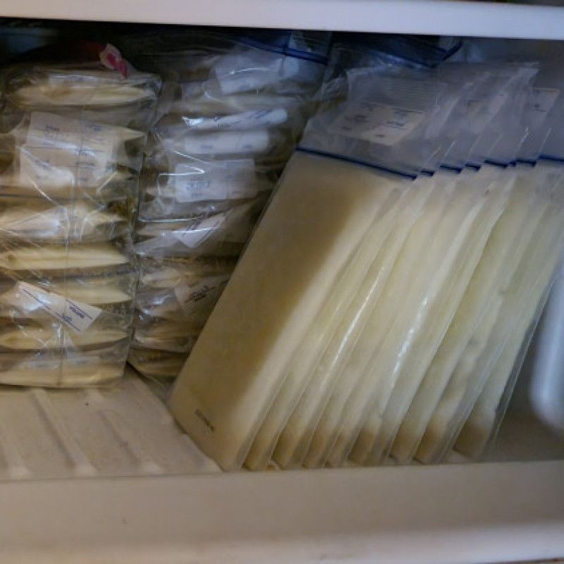 100oz of frozen breastmilk