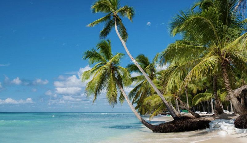 My dream trip to the Caribbean islands