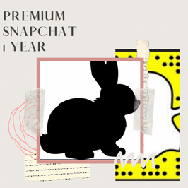 Premium Snapchat 1 year