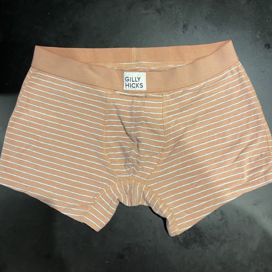 Striped Gilly Hicks Boxers